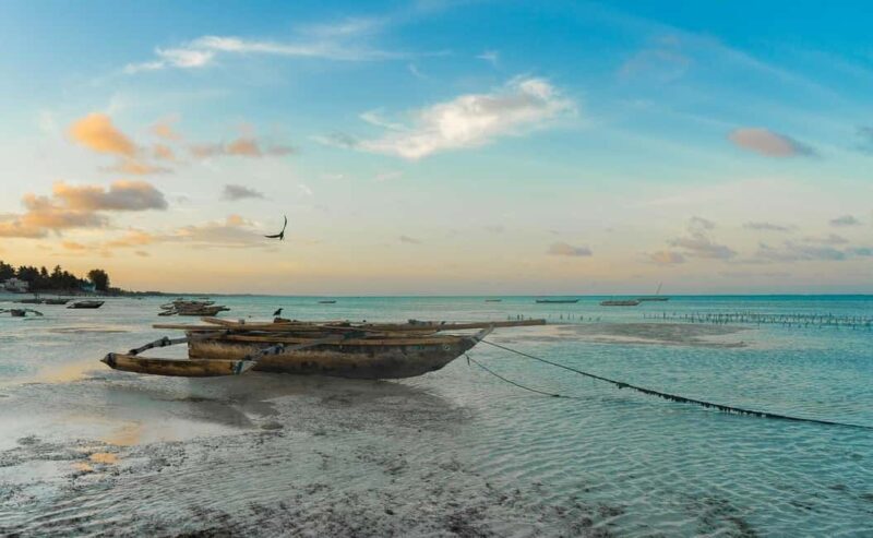 Safari Blue Full Day Trip - Authentic Experiences and Practical Insights