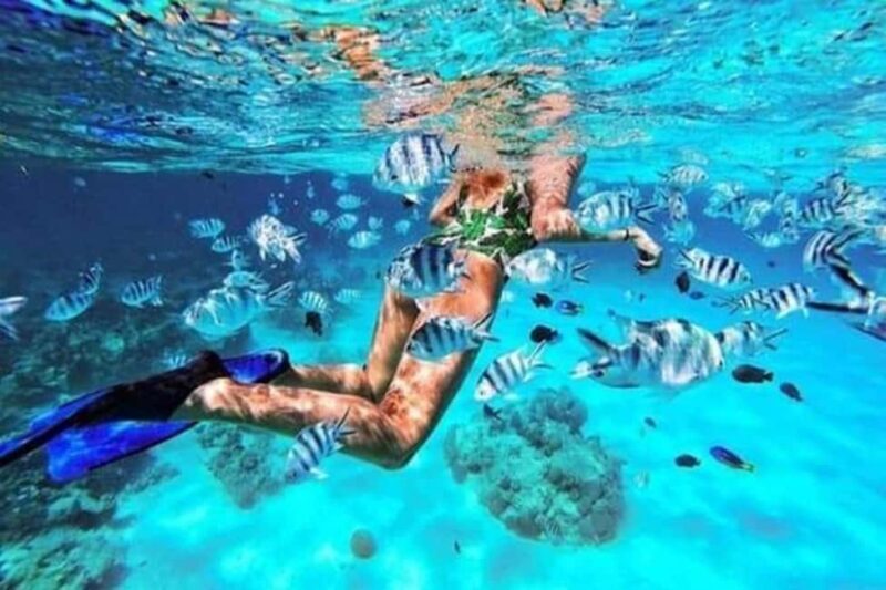 Safari Blue tour: Snorkeling & Sandbank Experience - The Itinerary: A Day Packed with Highlights