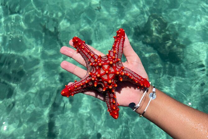 Safari Blue Zanzibar - Frequently Asked Questions
