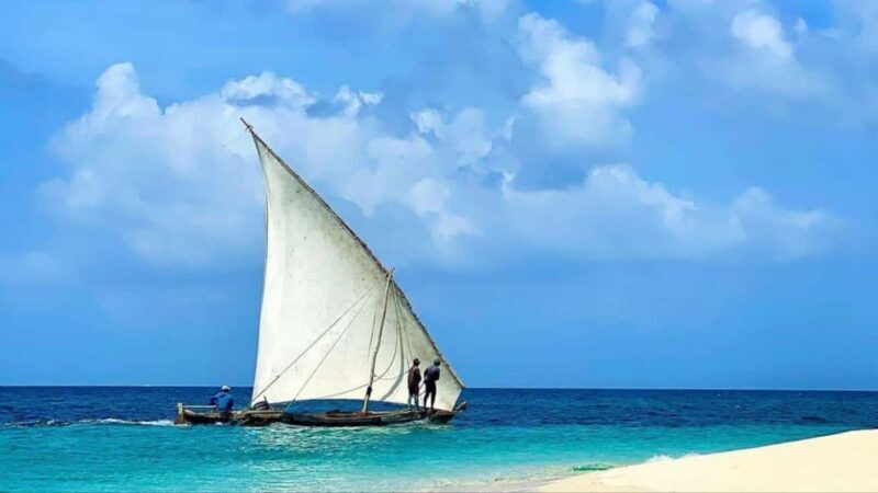 Safari Blue Zanzibar: Snorkeling Adventure with Lunch - Key Points  