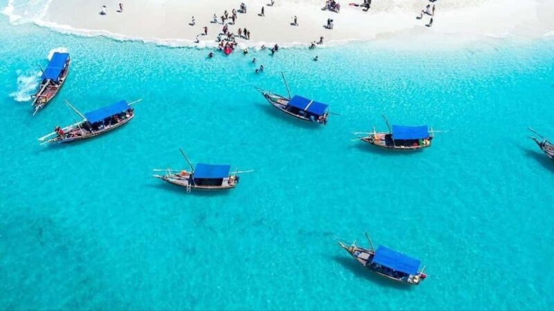 Safari Blue Zanzibar: Snorkeling Adventure with Lunch - Authentic Experiences and Practical Insights