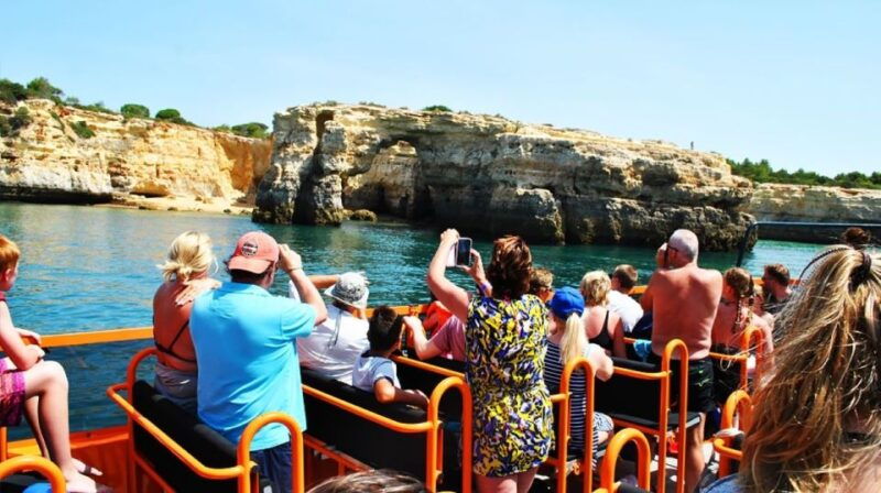 safari-boat-tour-mountains-dolphins