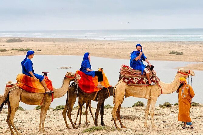 Safari Camel Ride in Banana Beach from Agadir - Key Points