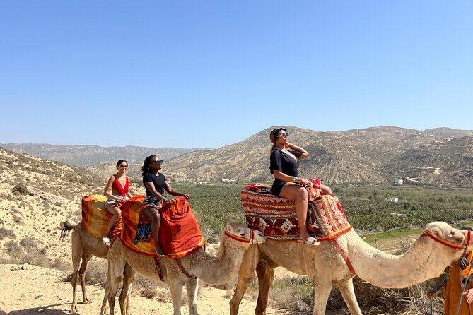 Safari Camel Ride in Banana Beach from Agadir - Who Will Love This Tour?