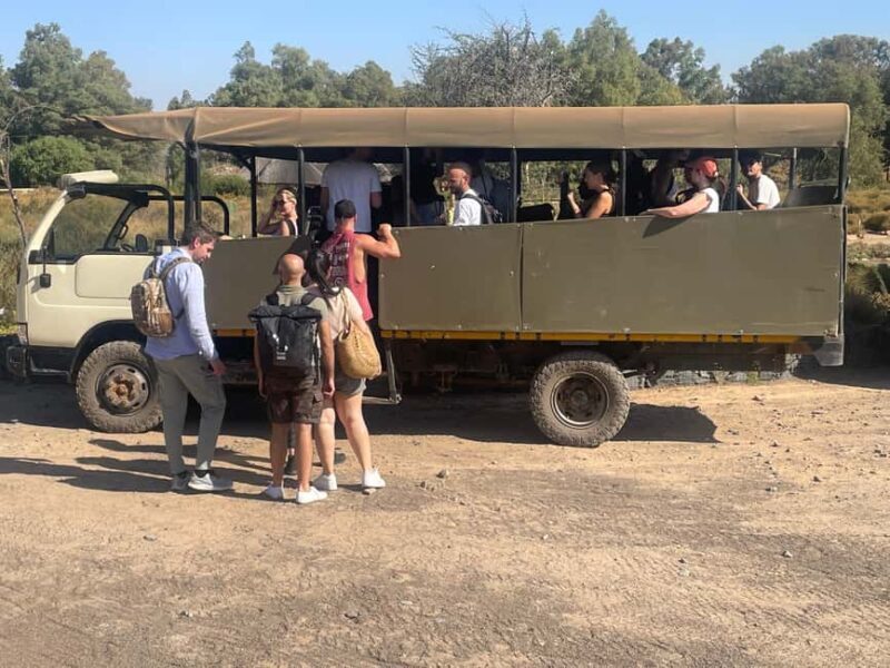 SAFARI- Cape Town Aquila Big 5 & Lunch (Hotel Pickup incl.) - Key Points