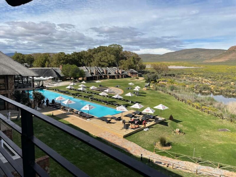SAFARI- Cape Town Aquila Big 5 & Lunch (Hotel Pickup incl.) - Authentic Experiences and Real Feedback