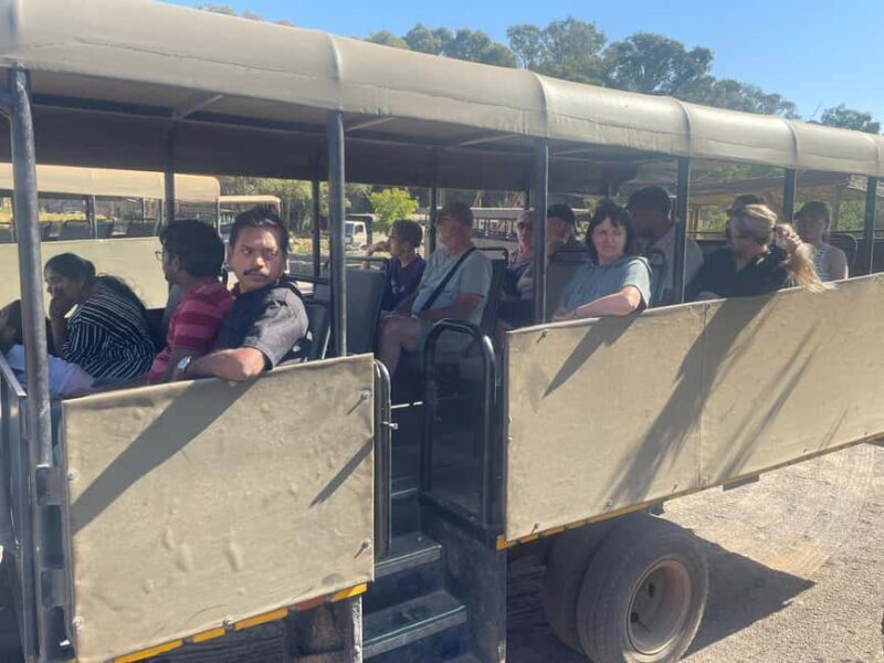 SAFARI- Cape Town Aquila Big 5 & Lunch (Hotel Pickup incl.) - FAQ