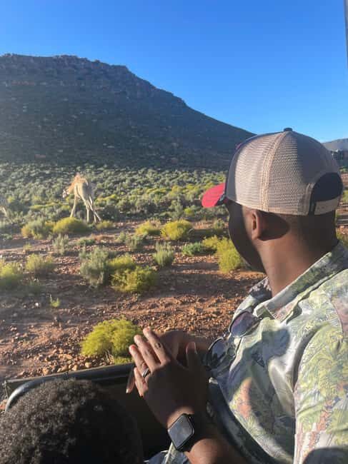 SAFARI- Cape Town Aquila Big 5 & Lunch (Hotel Pickup incl.) - Final Thoughts