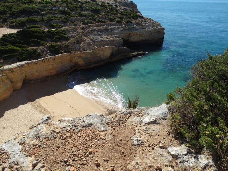 safari-come-and-discover-lagos-sagres-guided-tour
