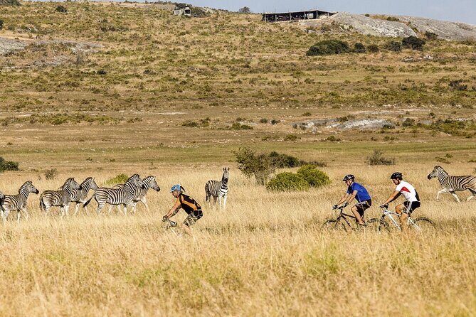 Safari Cycle and !Khwa ttu San Heritage Experience - Exploring the Itinerary in Detail