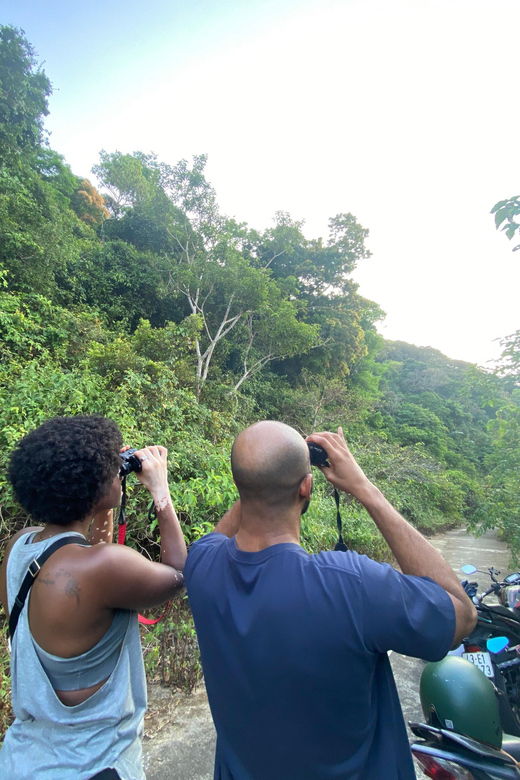 safari-finding-the-most-endangered-monkey-in-the-world