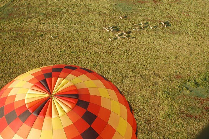 Safari Flight - Practical Considerations & Value