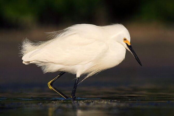 safari-float-and-wild-life-experience-in-arenal