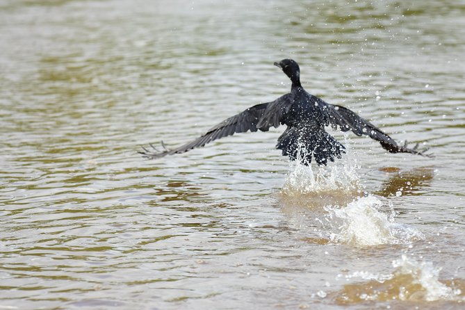 safari-float-at-penas-blancas-river