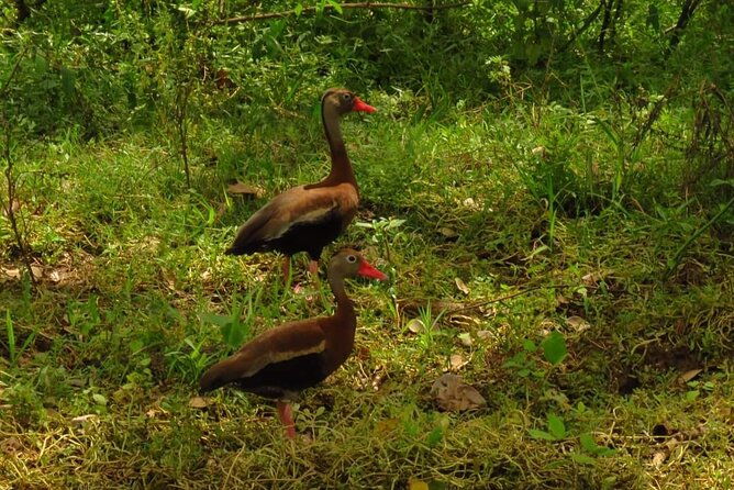 safari-float-at-penas-blancas-river