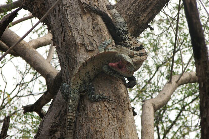 safari-float-on-corobici-river-incl-lunch
