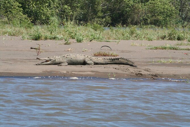 safari-float-on-corobici-river-incl-lunch