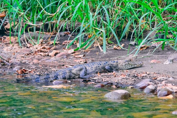 safari-float-sarapiqui-river-from-san-jose