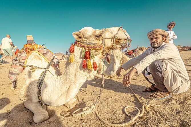 Safari Full Day ATV Quad, Buggy, Jeep, Camel in Egypt - Hurghada - Authentic Insights from Reviews