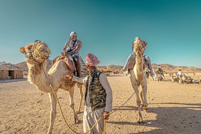 Safari Full Day ATV Quad, Buggy, Jeep, Camel in Egypt - Hurghada - Who Should Book This Tour?