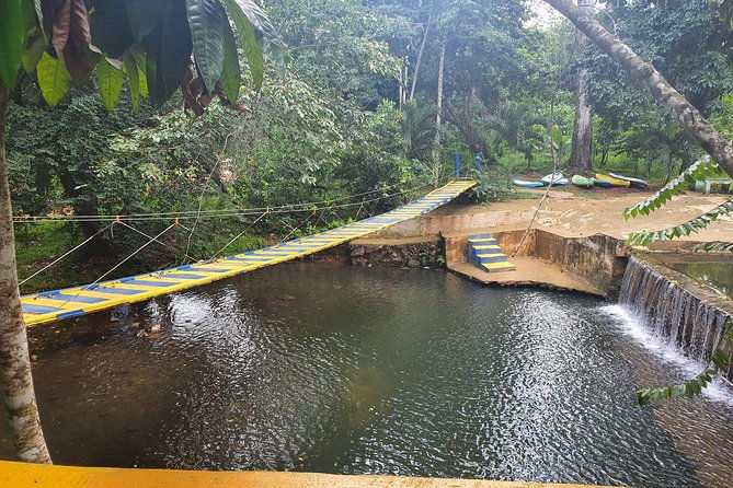 safari-full-day-vip-experience