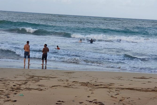 safari-full-day-vip-experience