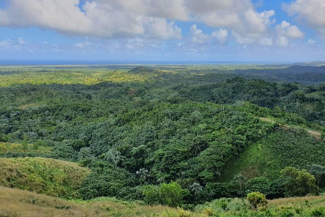 safari-full-day-vip-experience