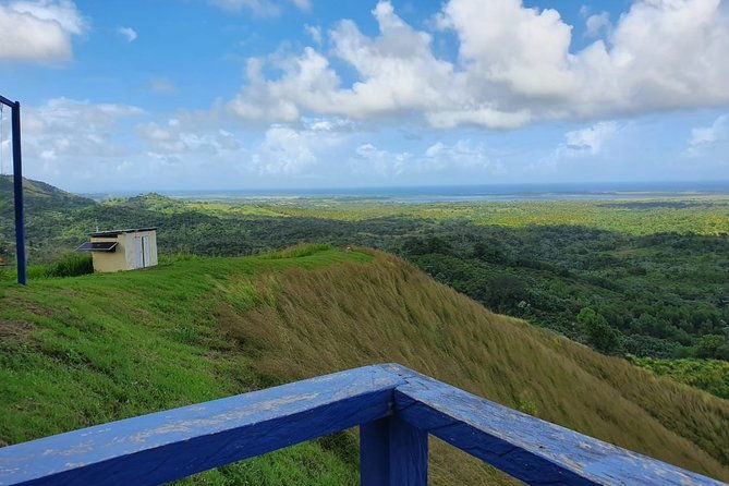 safari-full-day-vip-experience