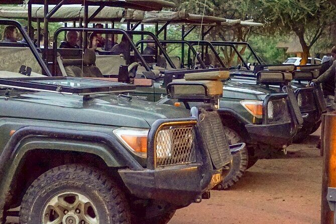 Safari Game Drive: Dinokeng Game Reserve - Key Points