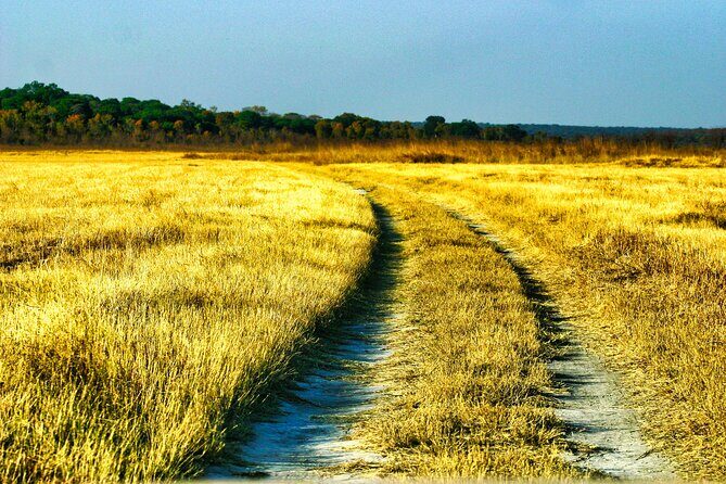 Safari Game Drive in the Savannah with Hotel pickup 3 times daily - FAQs
