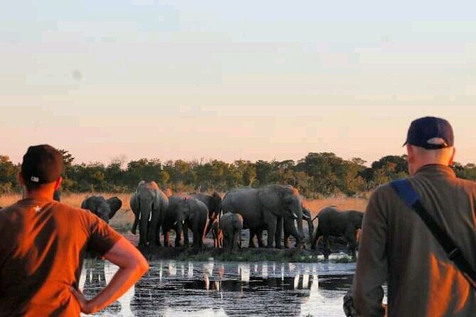 Safari Game Drive in Zambezi National Park - Exploring the Safari Game Drive in Zambezi National Park