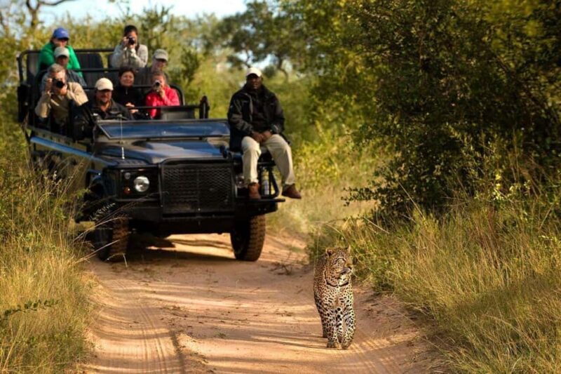 Safari Game Drive in Zambezi national park - The Sum Up