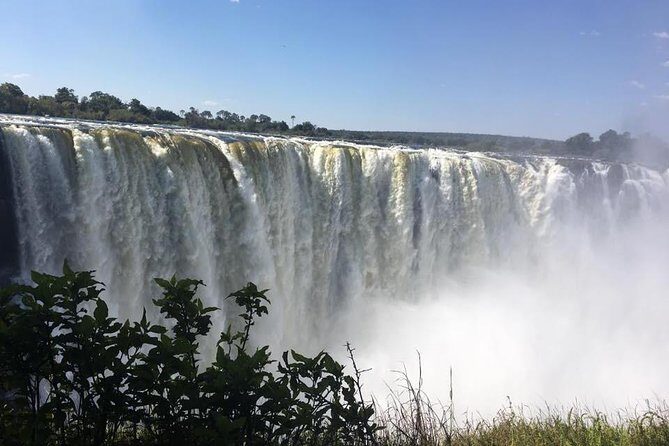 Safari Game Drive in Zambezi National Park - What to Expect from Your Safari Game Drive