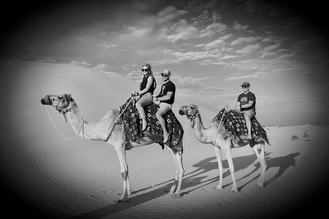Safari Half-Day Adventure from Abu Dhabi - What to Expect from the Desert Dune Bash