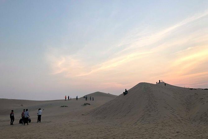 Safari Half-Day Adventure from Abu Dhabi - Practical Details and Tips