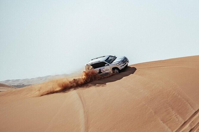 Safari Half-Day Adventure from Abu Dhabi - The Sum Up