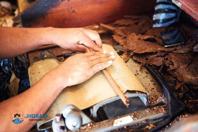 safari-half-day-adventure-tour-from-punta-cana