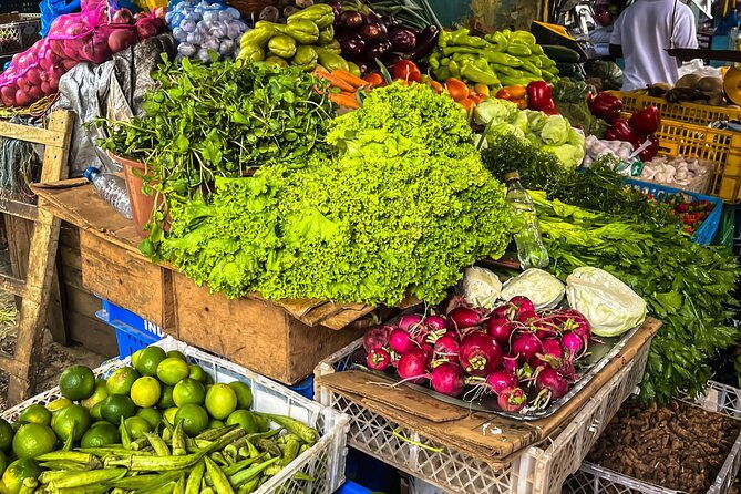 safari-half-day-adventure-tour-from-punta-cana