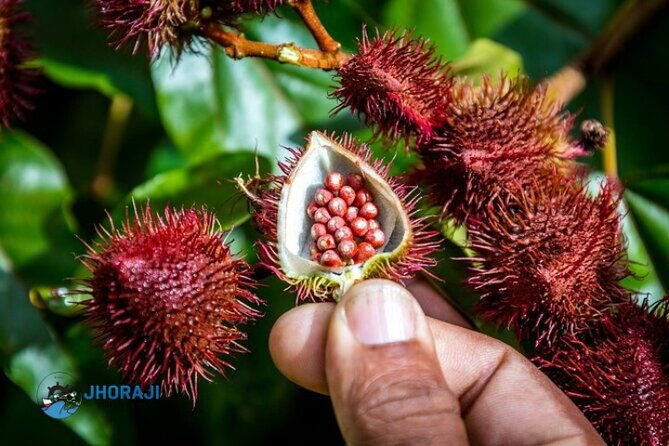 safari-half-day-adventure-tour-from-punta-cana