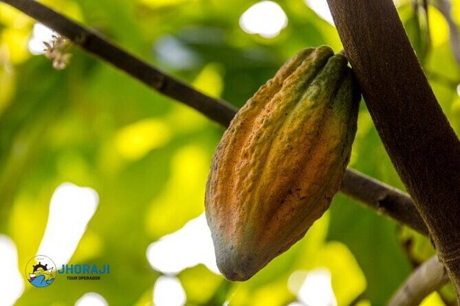 safari-half-day-adventure-tour-from-punta-cana