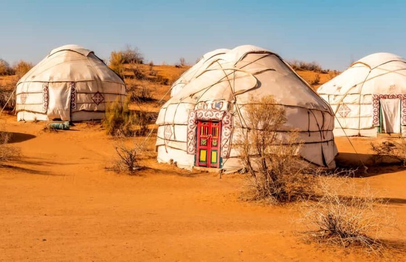 Safari in Kyzylkoum and Lake Aydar (2 days): yurt camping and more! - Key Points