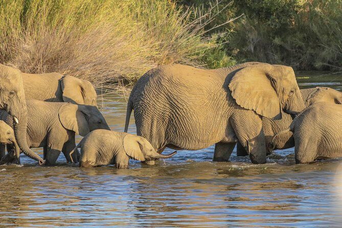Safari in the Kruger National Park - 4 Days-all Inclusive & private - Authentic Insights from Reviewers
