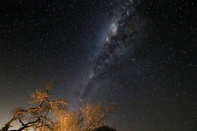 Safari in the Kruger National Park - 4 Days-all Inclusive & private - Who Would Love This Tour?