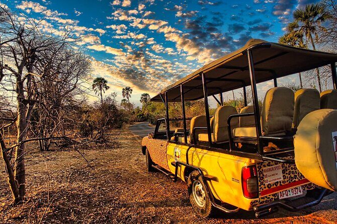 Safari in Victoria Falls and Zambezi National Park - What Makes This Safari Stand Out?