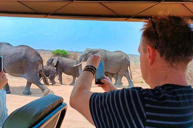 Safari in Victoria Falls and Zambezi National Park - Practical Tips for Your Safari Experience