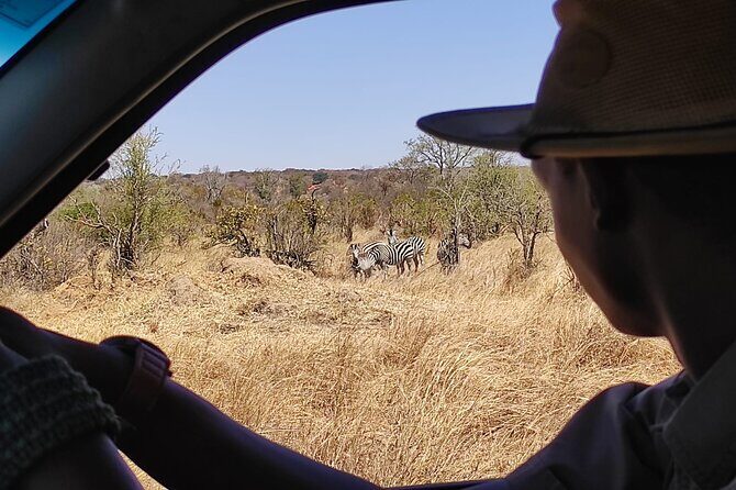 Safari in Victoria Falls and Zambezi National Park - Who Should Consider This Tour?