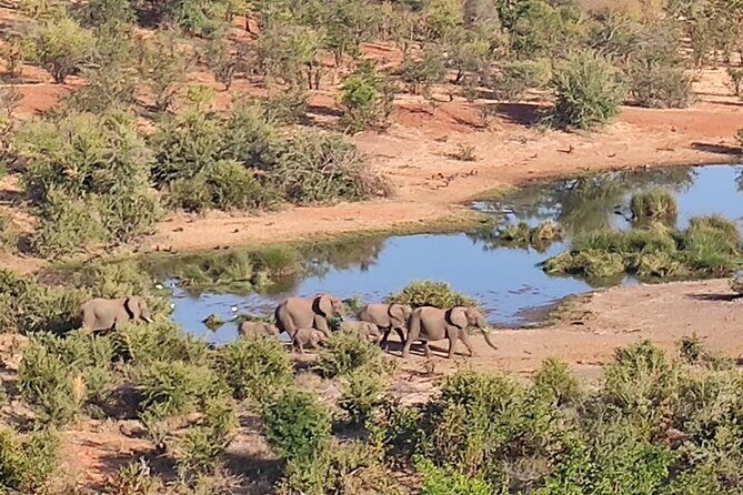Safari in Victoria Falls and Zambezi National Park - The Sum Up: Making the Most of Your Safari Adventure