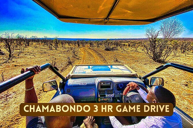Safari in Victoria Falls and Zambezi National Park - FAQ