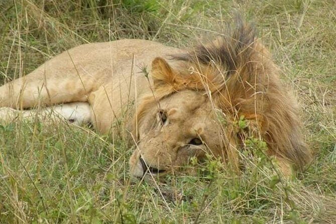 Safari Kenya with Patrick - FAQ