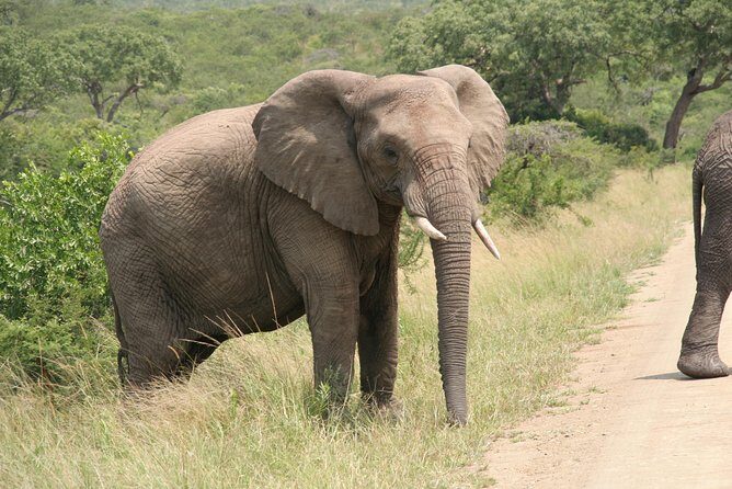 Safari & PheZulu Village Day Tour from Durban - Frequently Asked Questions